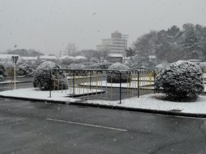 2月9日(土)13時30分現在　積雪予報に伴う教習及び送迎バスの運行について